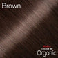 Men's Hair Coloring | Brown