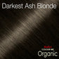 Men's Hair Coloring | Darkest Ash Blonde
